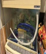 حوض سمك 60 لتر فاضي