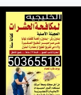 مكافحه جميع أنواع الحشرات والقوارض ارخص الأسعار