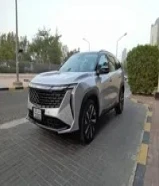 السالمية جيلى ستار راي موديل 2024