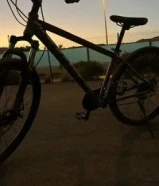 For Sale: TREX Bicycle - Fast, Flexible & Ready to Ride!