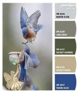 صباغ باكستاني