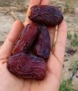 بيع التمر بالجملة والتصدير بدون وساطة" "نحن نقدم أفضل أنواع التمر للبيع بالجملة والتص
