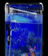 حوض سمك مع الأغرض