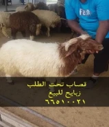 قصاب متنقل تحت الطلب +زبايح للبيع مع التوصيل جميع مناطق الكويت