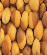 رطب خلاص- روتانا