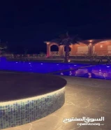 للإيجار رخصة استيراد